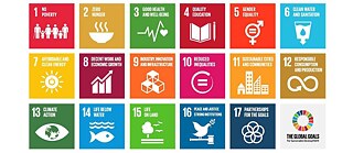 صورة لشعارات أهداف التنمية المستدامة السبعة عشر للأمم المتحدة