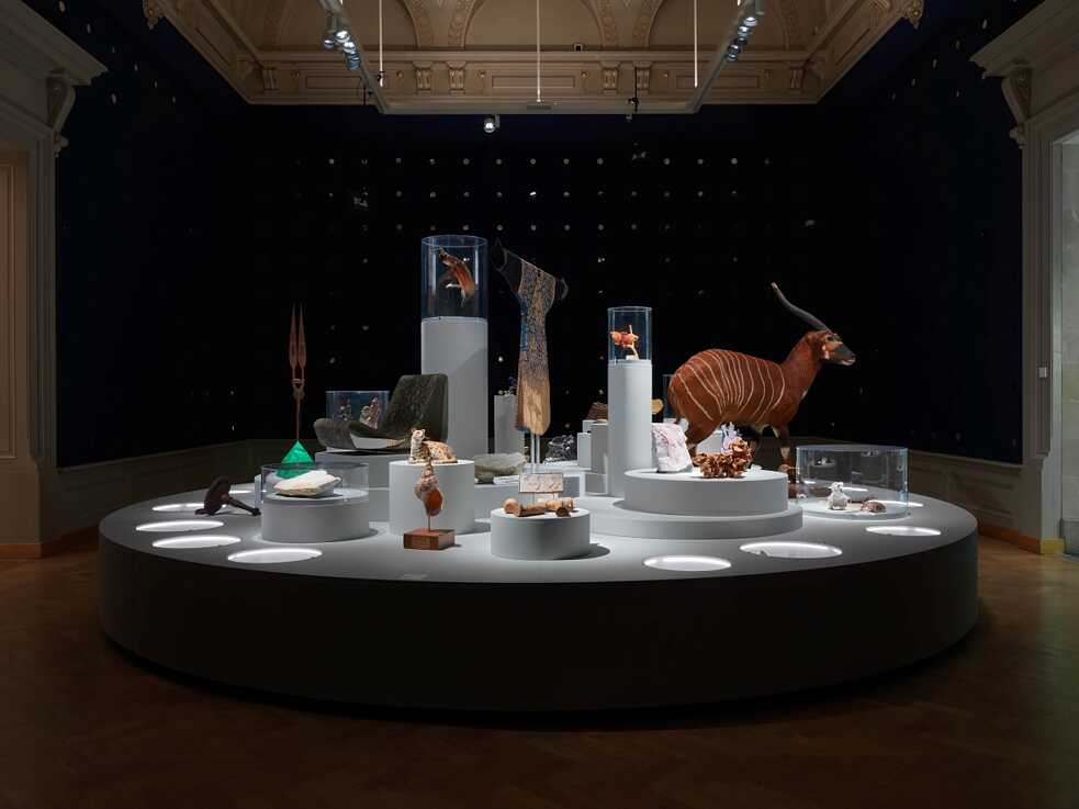 Blick auf die Ausstellung „EXOTIC?“ 