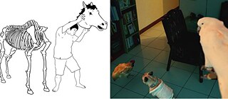 コモンズ・フォーラム#1