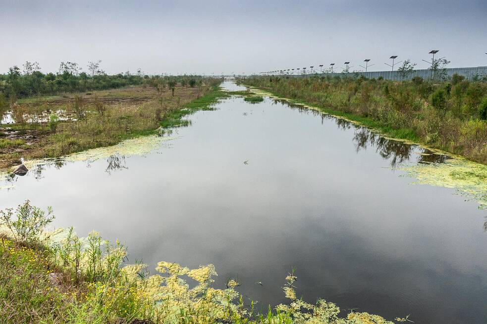 A pocos metros de la barda perimetral, el agua anega nuevamente los lechos de la charca.