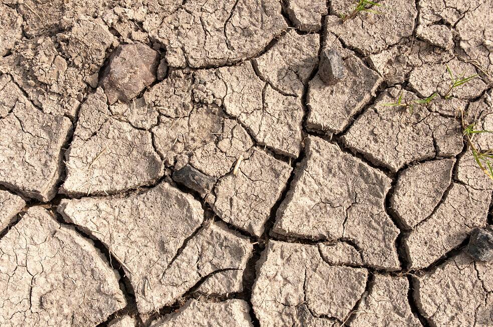 Un suelo arcilloso y rico en minerales.