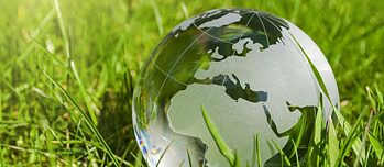 Životna sredina u okviru škole