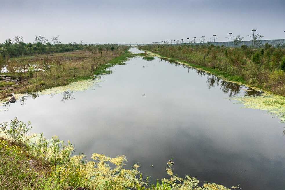 A pocos metros de la barda perimetral, el agua anega nuevamente los lechos de la charca.