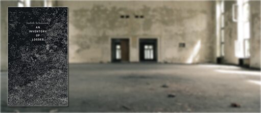 Verzeichnis einiger Verluste, von Judith Schalansky.