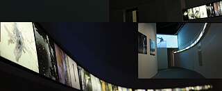 Michelle Eistrup og James Muriuki: "Too Long are Our memories" + "Borders", Installation, 2010│Video 9 Min. und Light Box 12 m x 15 cm x 15 cm Installation│Ausgestellt in Naturama, (Svendborg, Fyn), 2012, kuratiert von Thomas Bjørneboe Berg