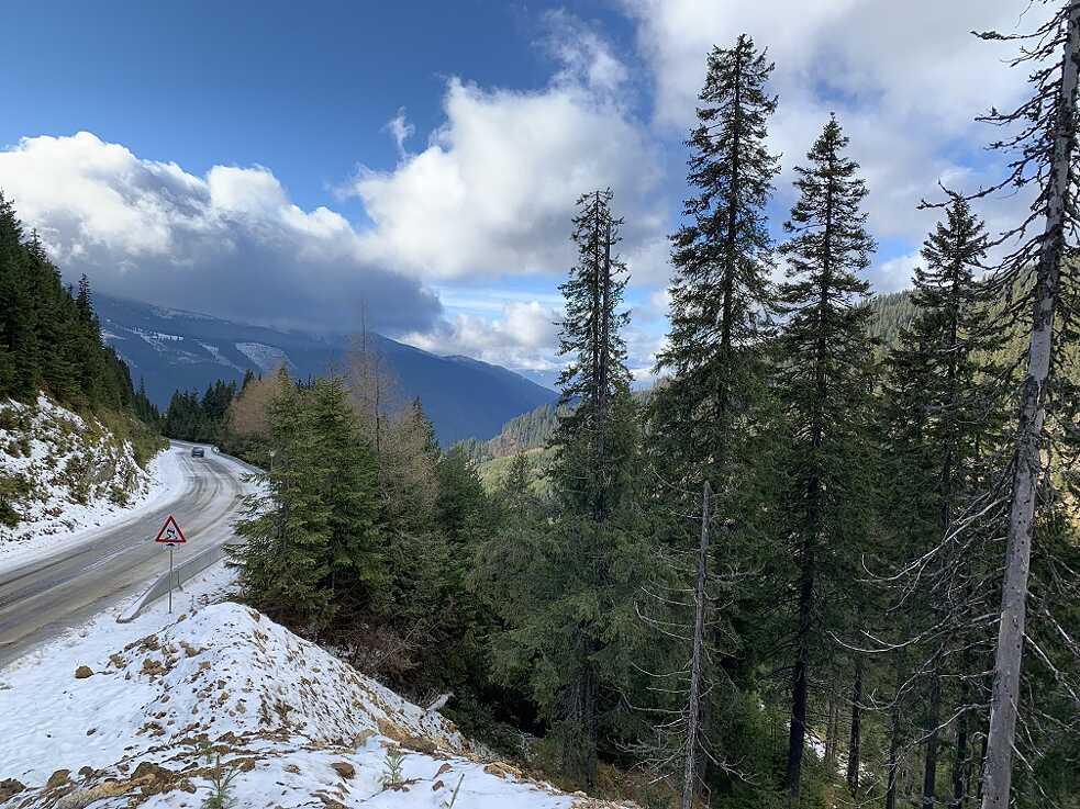 Transalpina