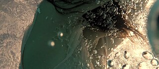  © Equipo del proyecto