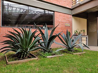 Entrada al Laboratorio