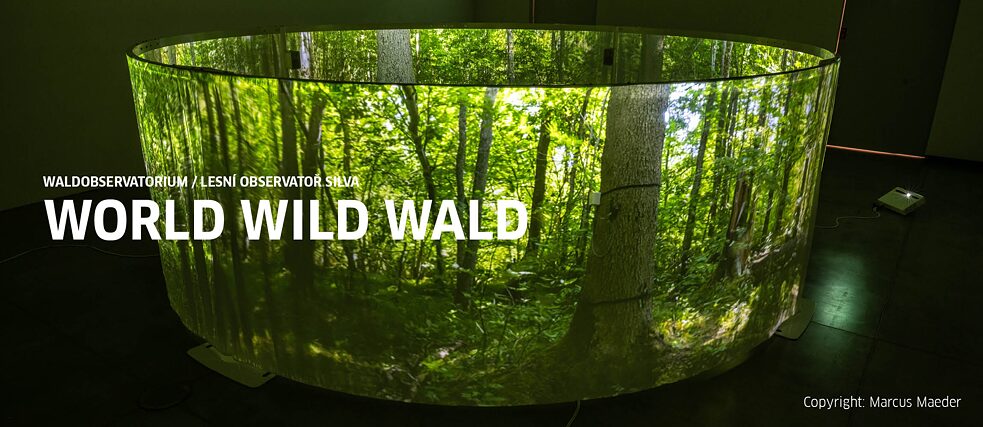 World Wild Wald