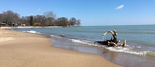 Acceptance, Reconciliation, and Music at a Standstill