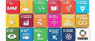 17 целей устойчивого развития