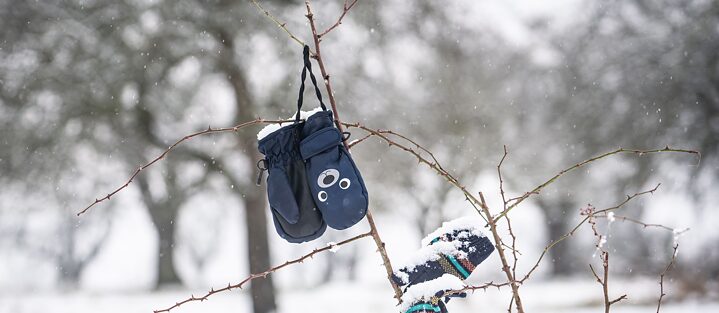 Ein Paar blaue Handschuhe hängen von dem Ast eines Buschs im Schnee