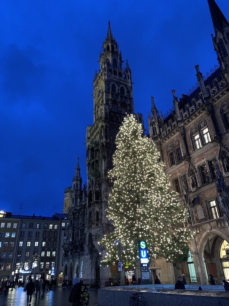 Weihnachtsbaum in der Münchener Innenstadt