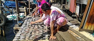 Eine Fischerin in Makassar