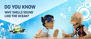 Kinderuni Muschelsound