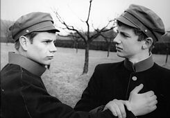 junge törless@BIFFES