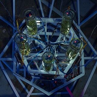 Transpollutant Square