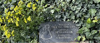 Wurzeln der Freundschaft - Mariazell