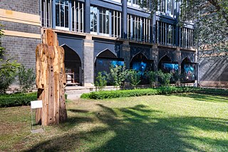 Die Entstehung seiner selbst