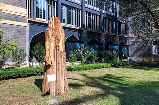 Die Entstehung seiner selbst 2