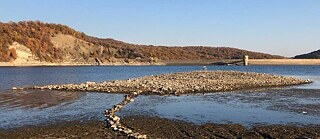   Commons: Instution der Zukunft