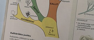 Biologiebuch in der Sprache Nord-Sámi