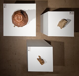 Prabhakar Pachpute - 1