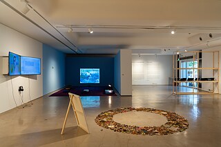 Himali Singh Soin 10