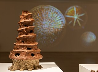 Prabhakar Pachpute - 9