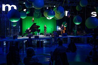 Joëlle Léandré auf dem Moers Festival 2021