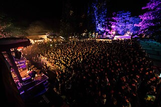 Der Firmengarten von Glitterhouse Records