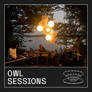 Owl Sessions - Thattu Pattu 
