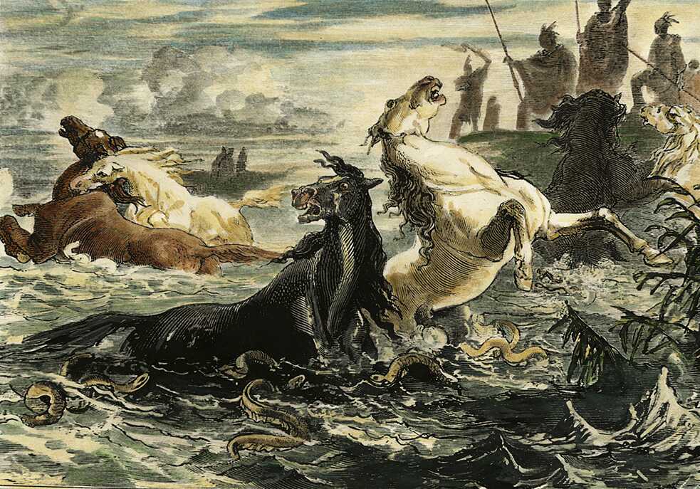 Fang der Zitteraale mit Pferden auf dem Orinoco. Von Humboldt bewies mit diesem Experiment, dass Aale auch Landtiere angriffen. Holzstich aus dem Jahr 1870. 
