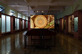 Sonia Mehra Chawla - 1