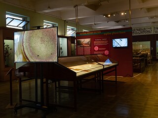 Sonia Mehra Chawla - 2