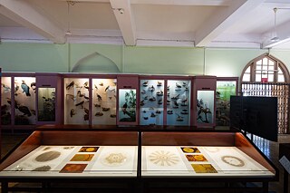 Sonia Mehra Chawla - 4