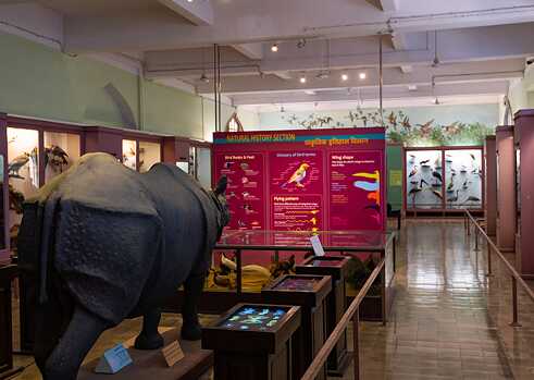 Rohini Devasher - 5
