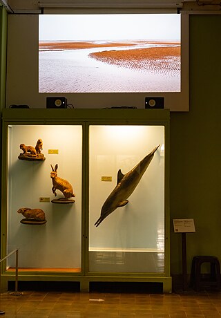 Sonia Mehra Chawla - 5