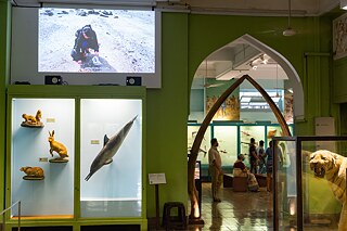 Sonia Mehra Chawla - 6