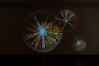 Rohini Devasher - 13