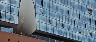 Foto: Steven Lek (Auschnitt) | 