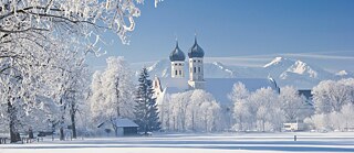 Schneelandschaft