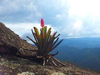 Montanhista Sul Mineiro