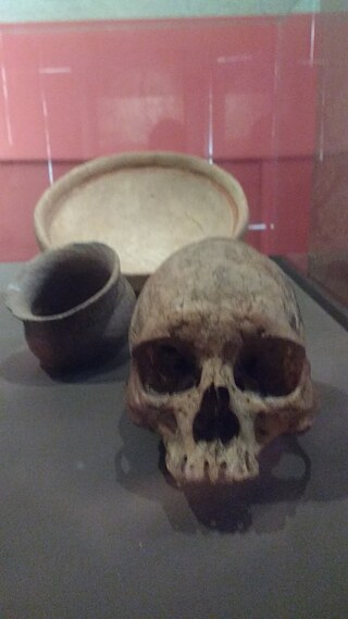 Foto de Lucia Lopes Meneghini