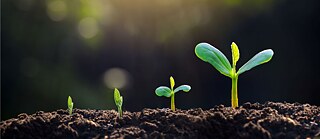 Nachhaltigkeit und Bibliotheken