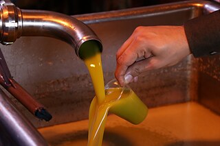 Olivenöl in der letzten Phase der Herstellung