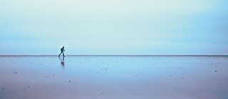  Ecosystems: Wadden Sea