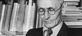 Hesse, der Steppenwolf
