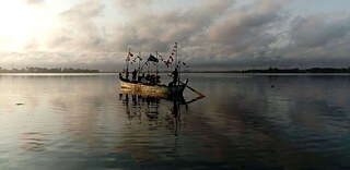 Projection de film avec "Grüne Hand"