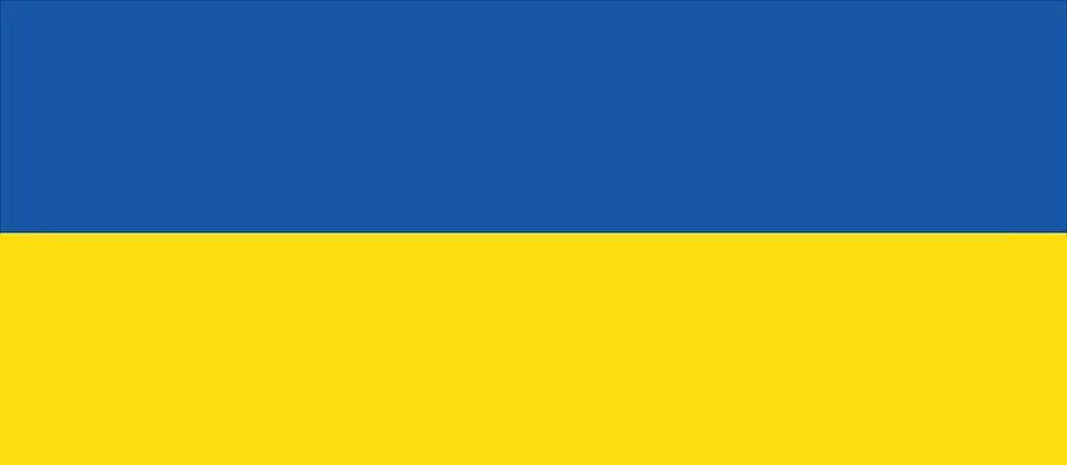 Gemeinsam mit der Kulturstiftung des Bundes hat das Goethe-Institut ein Nothilfeprogramm für Kulturschaffende aus der Ukraine aufgesetzt. Zudem bietet das Goethe-Institut kostenlose Online-Deutschkurse und gezielte Informationen auf „Mein Weg nach Deutschland“ an.